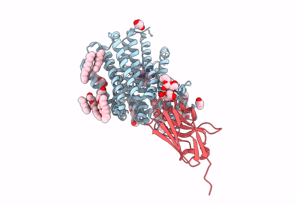 8B18 image