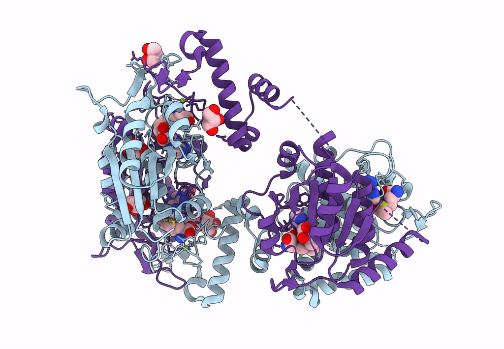 8B1N image