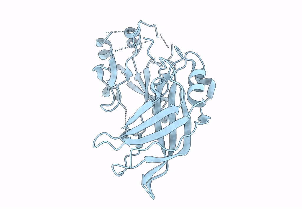 8B1O image