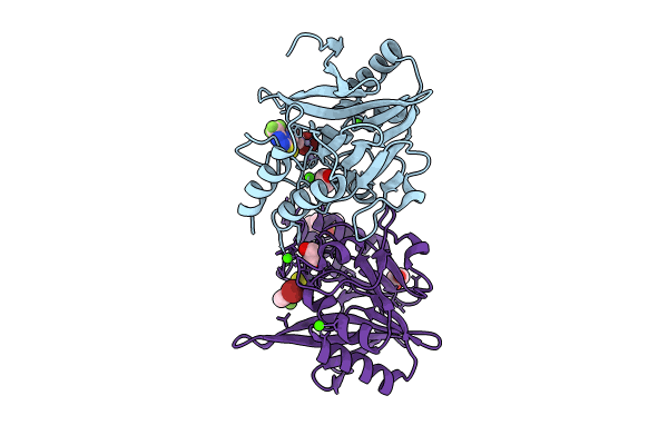 8B1W image