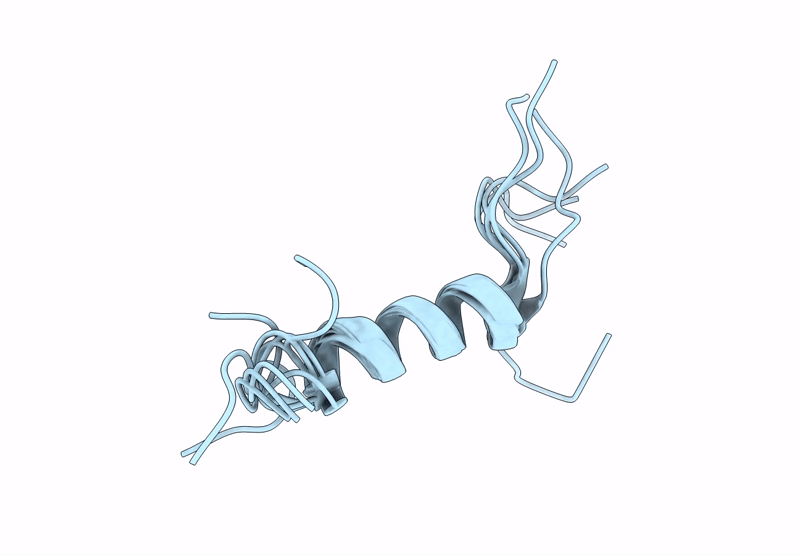 8B1X image