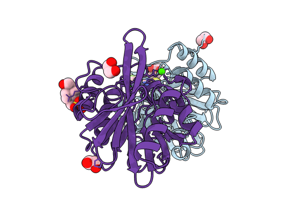 8B20 image
