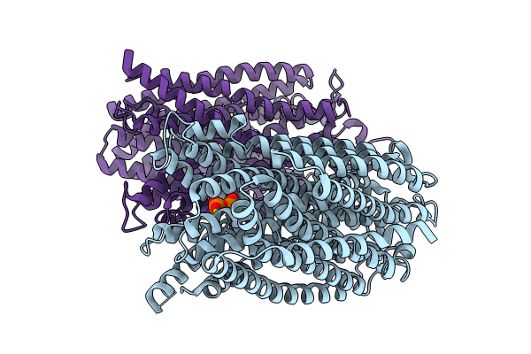 8B22 image