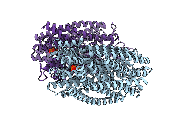 8B24 image