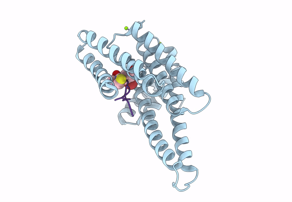 8B2K image