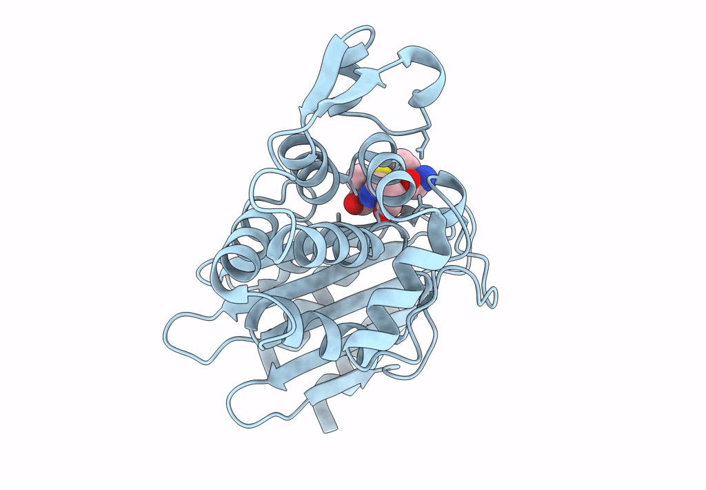 8B2O image
