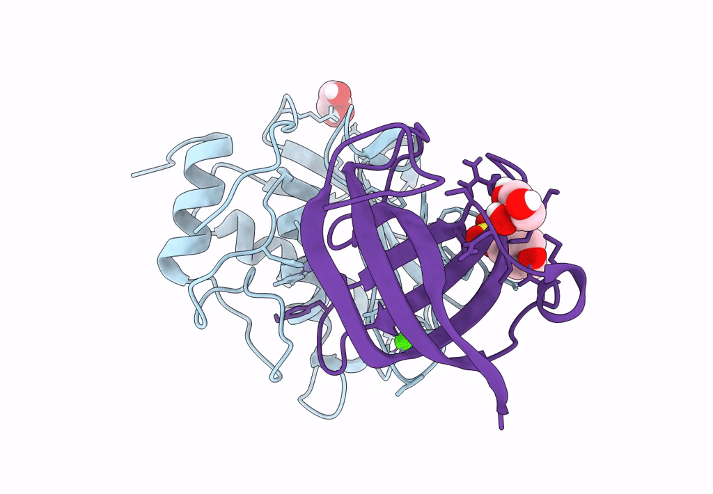 8B2Q image
