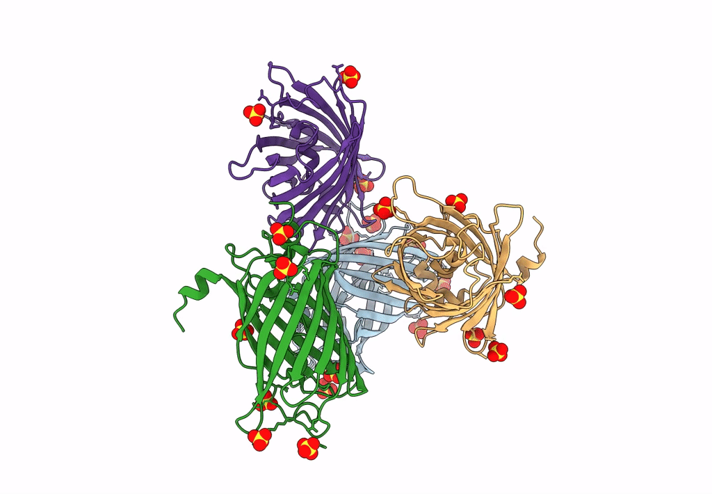 8B2Y image