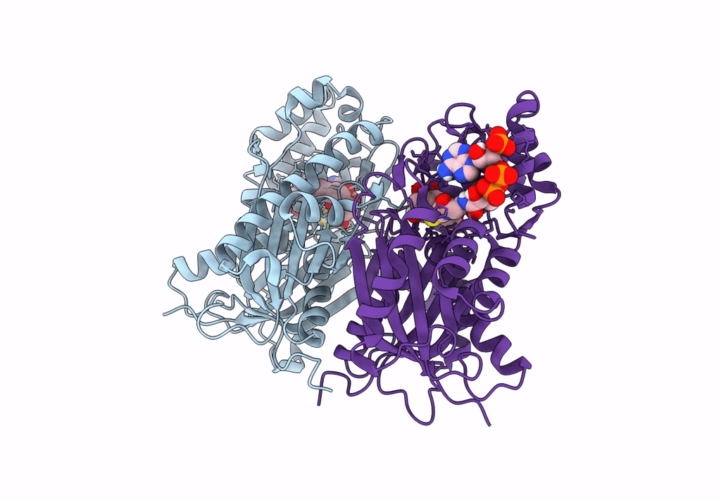 8B35 image