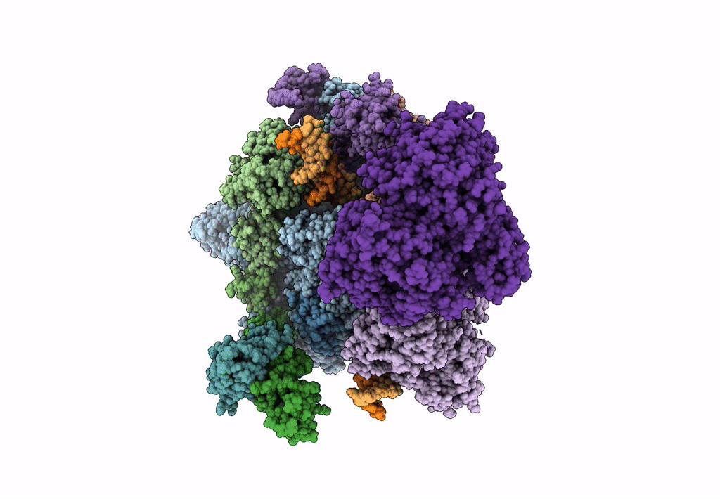 8B3D image