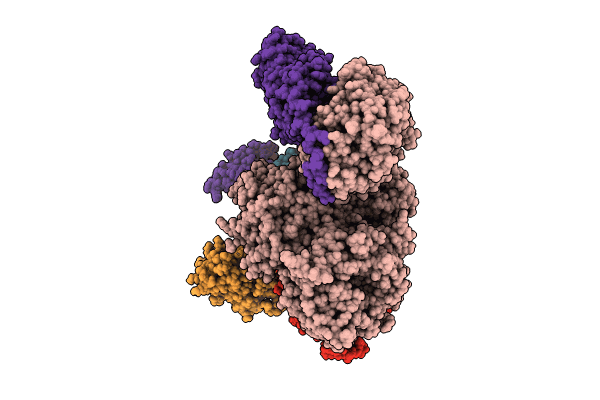 8B3G image
