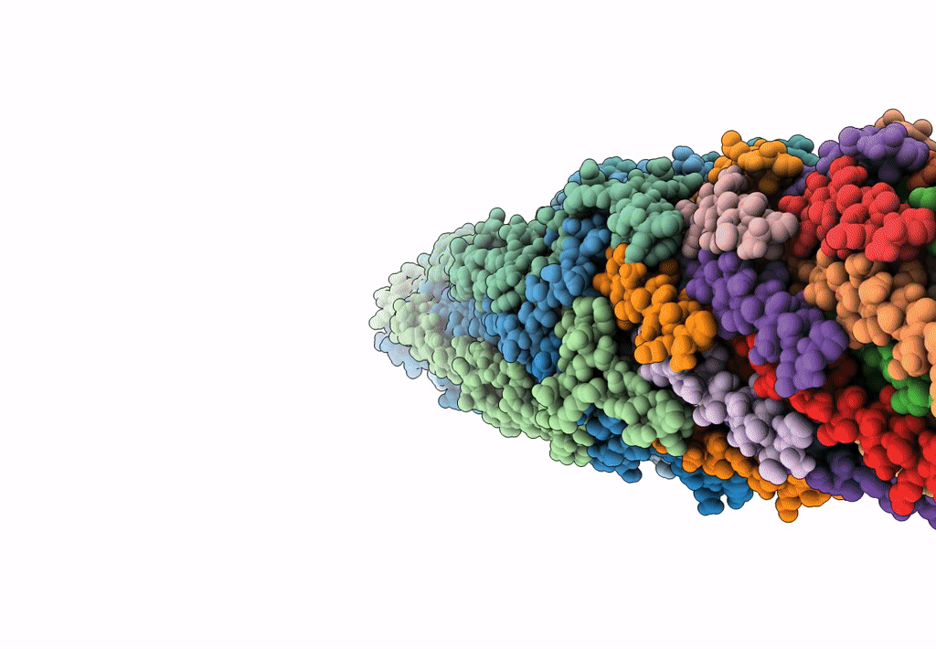 8B3O image