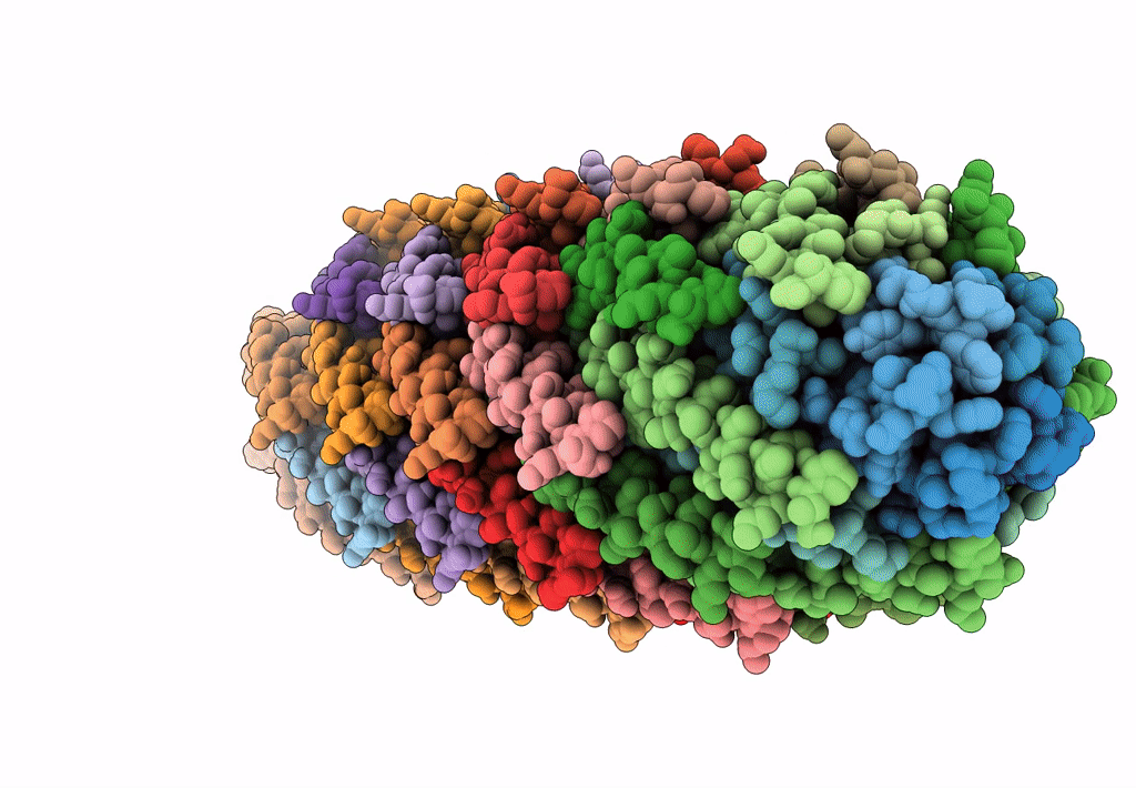 8B3P image