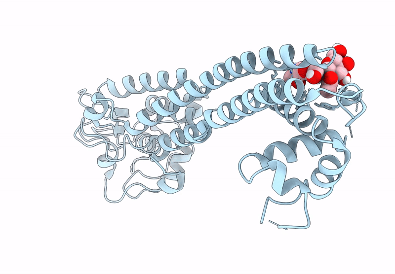 8B3W image