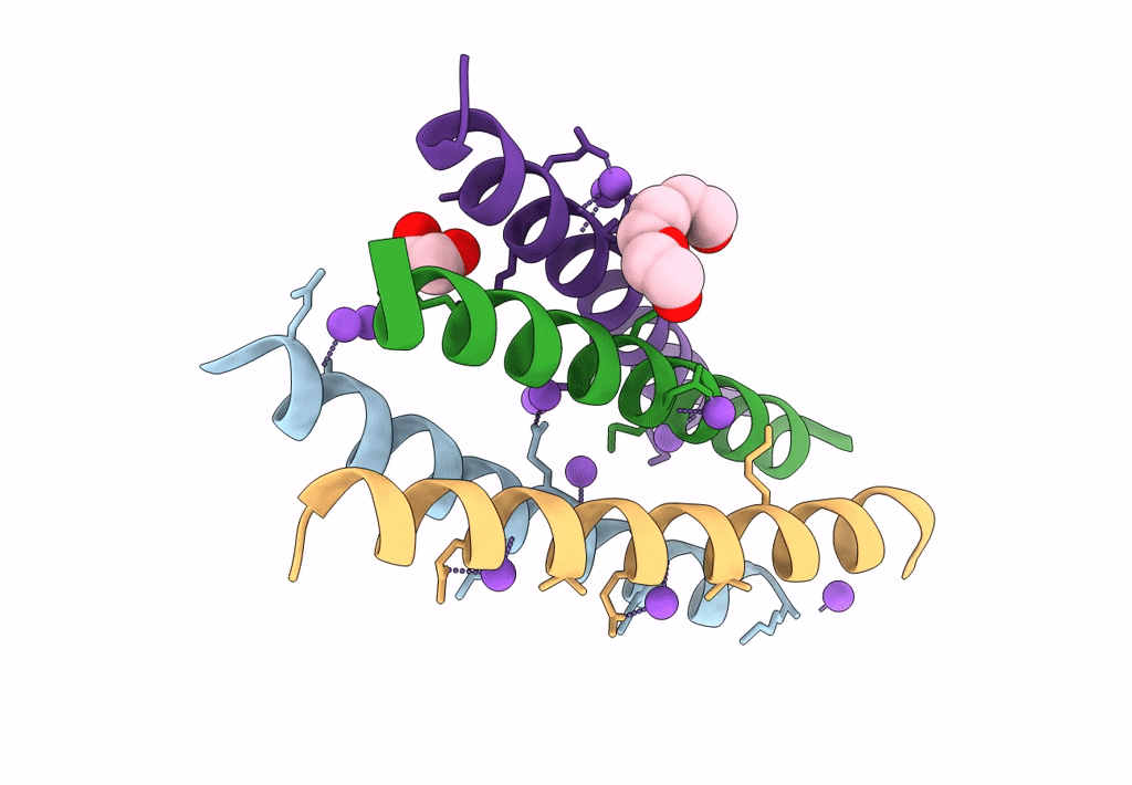 8B45 image