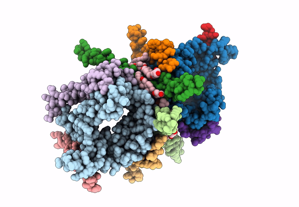 8B4I image