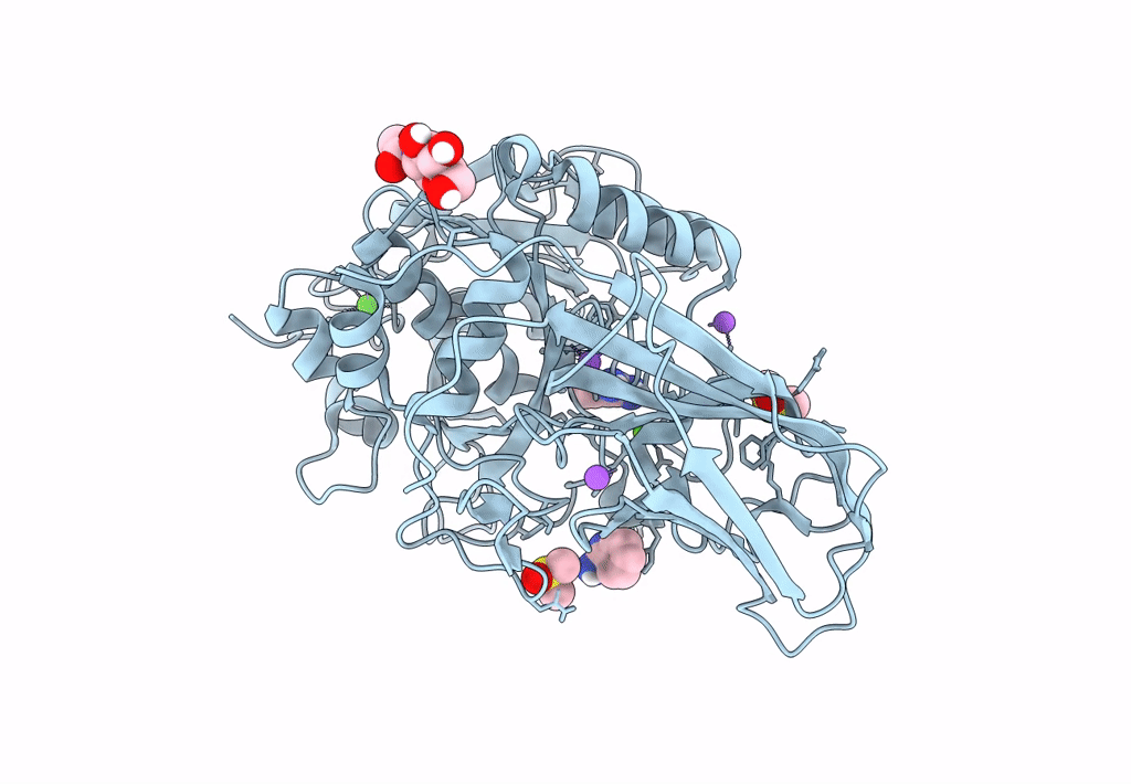 8B4V image