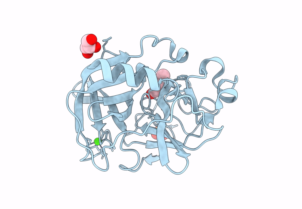 8B53 image