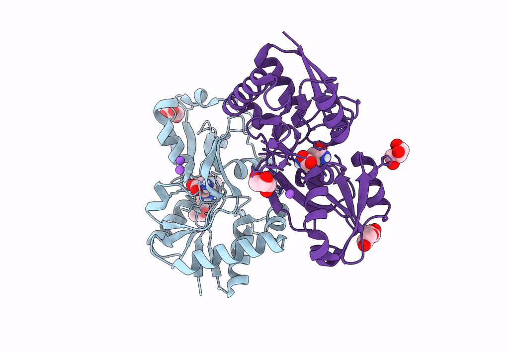8B5D image
