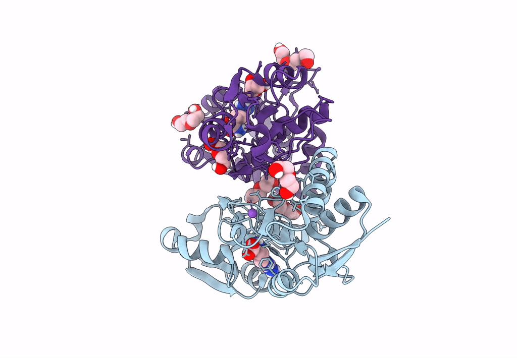 8B5E image