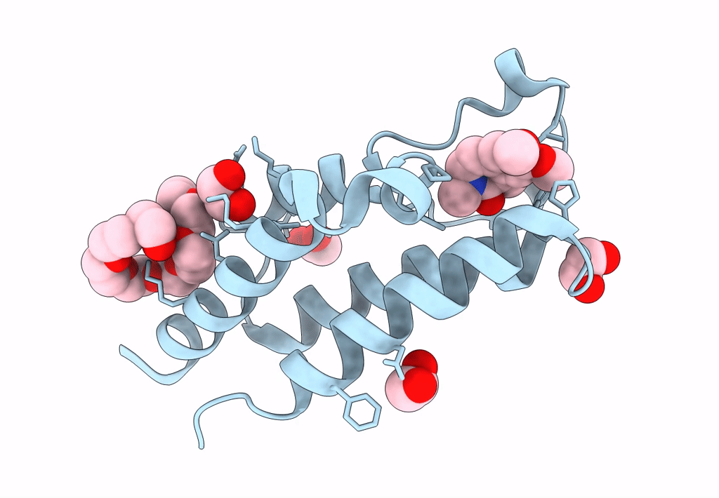 8B5I image