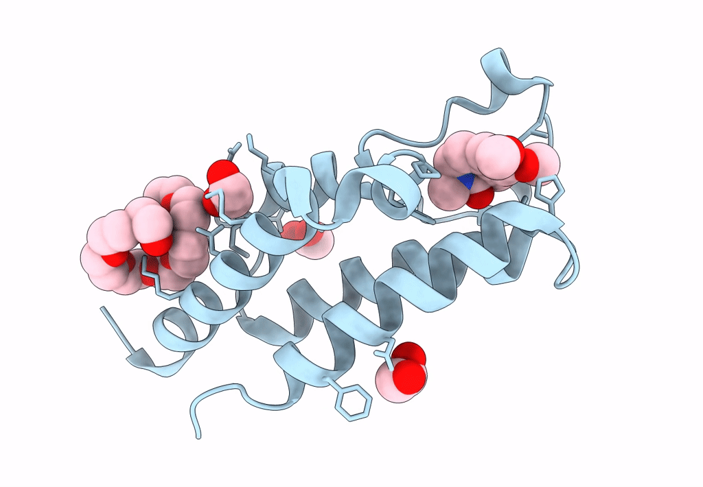 8B5J image