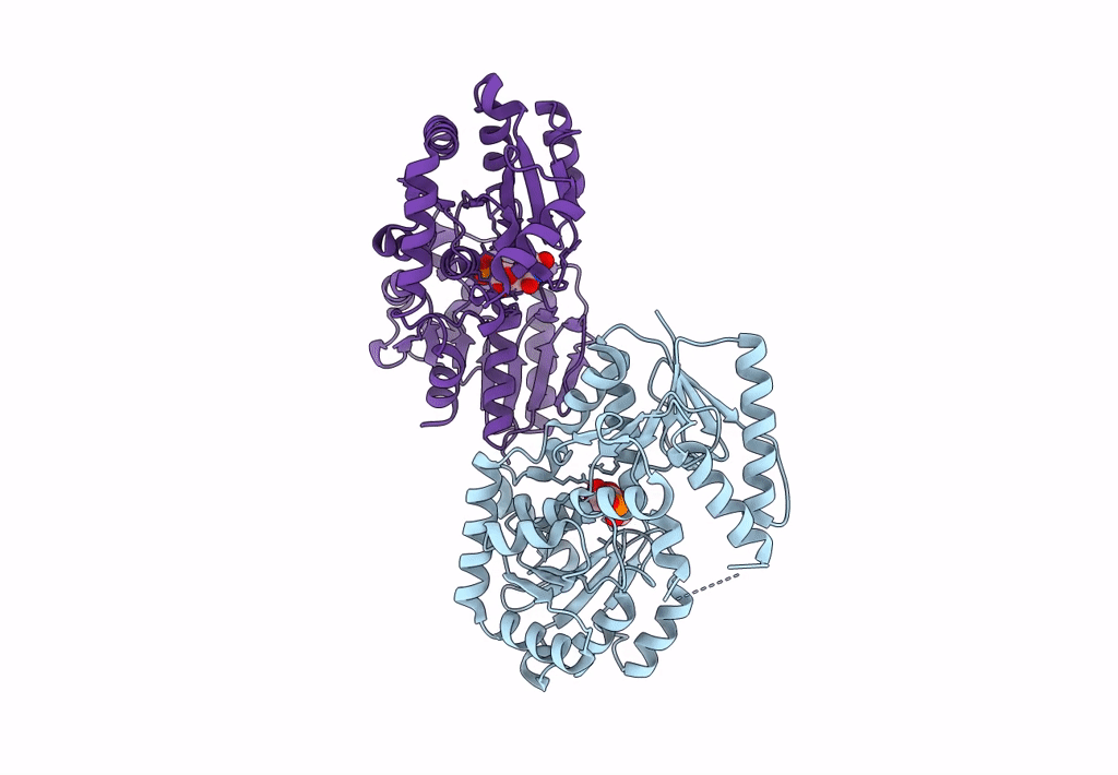 8B5Q image