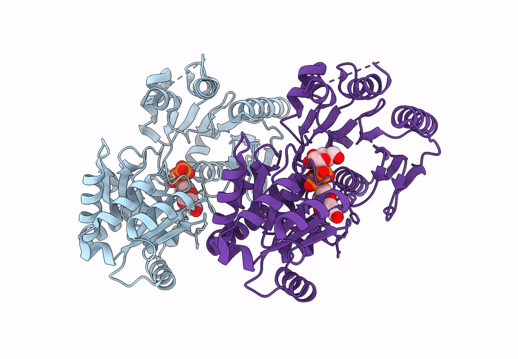 8B5S image