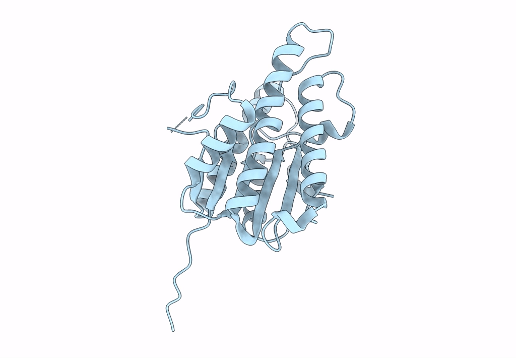 8B5U image