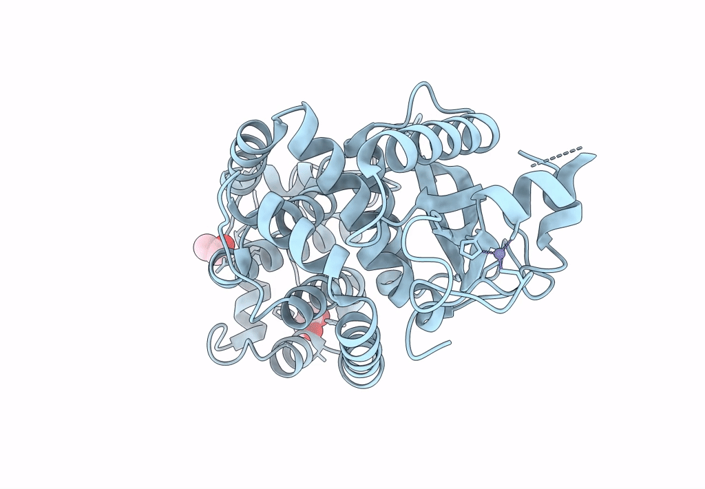 8B5W image