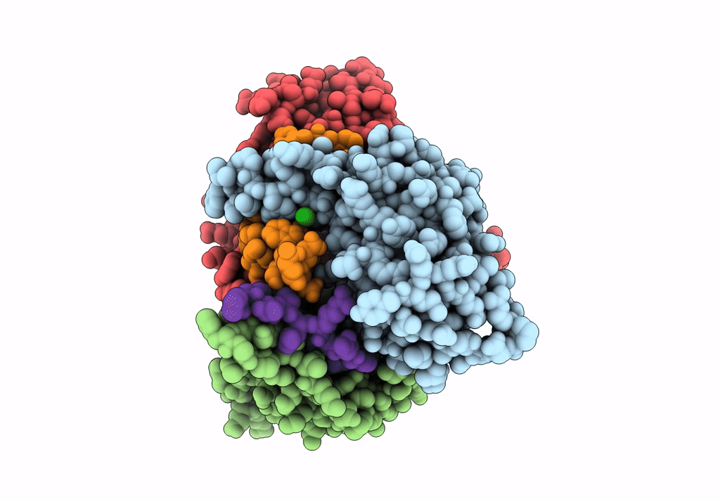 8B5X image