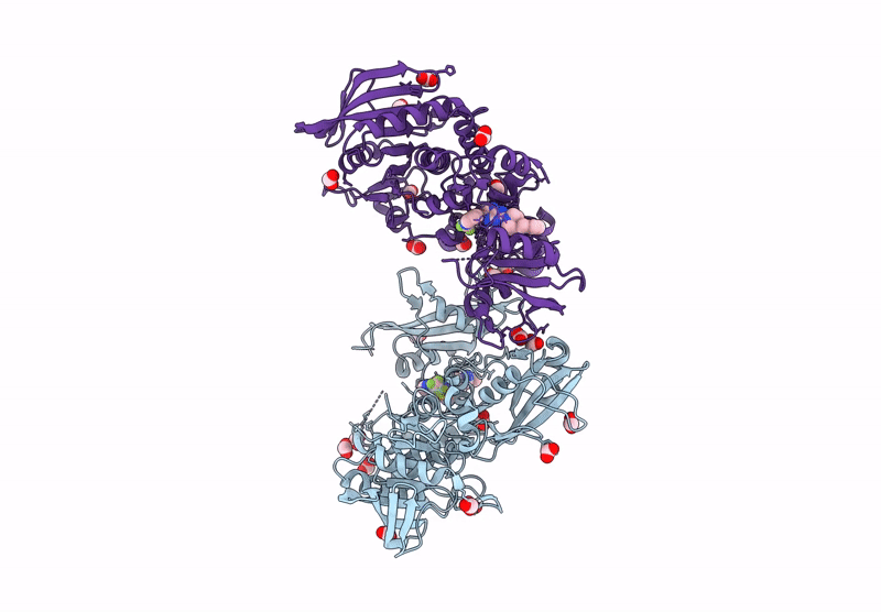 8B5Y image