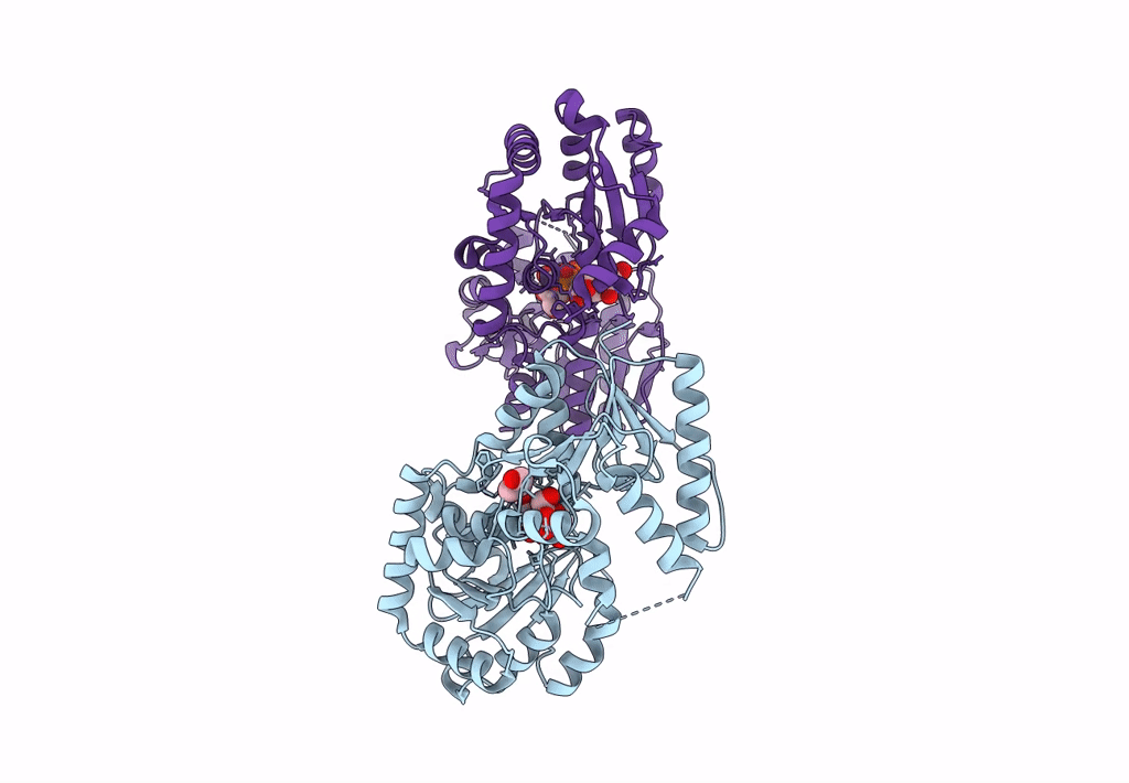 8B62 image