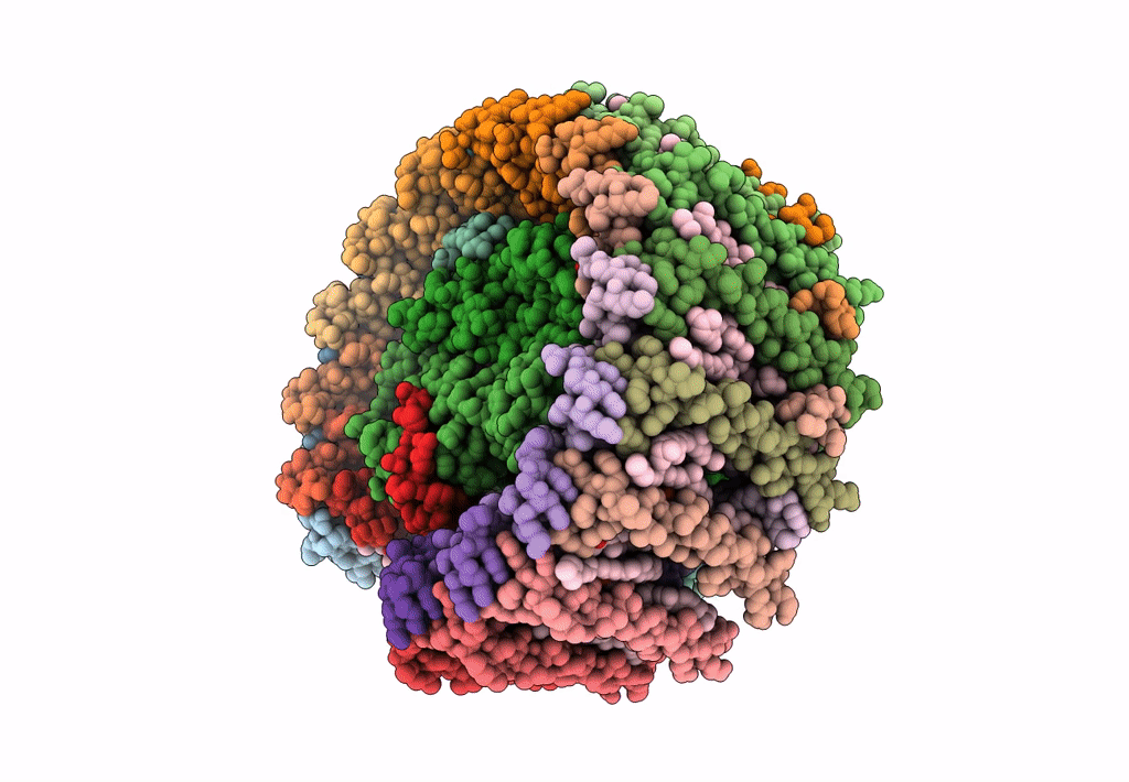 8B64 image
