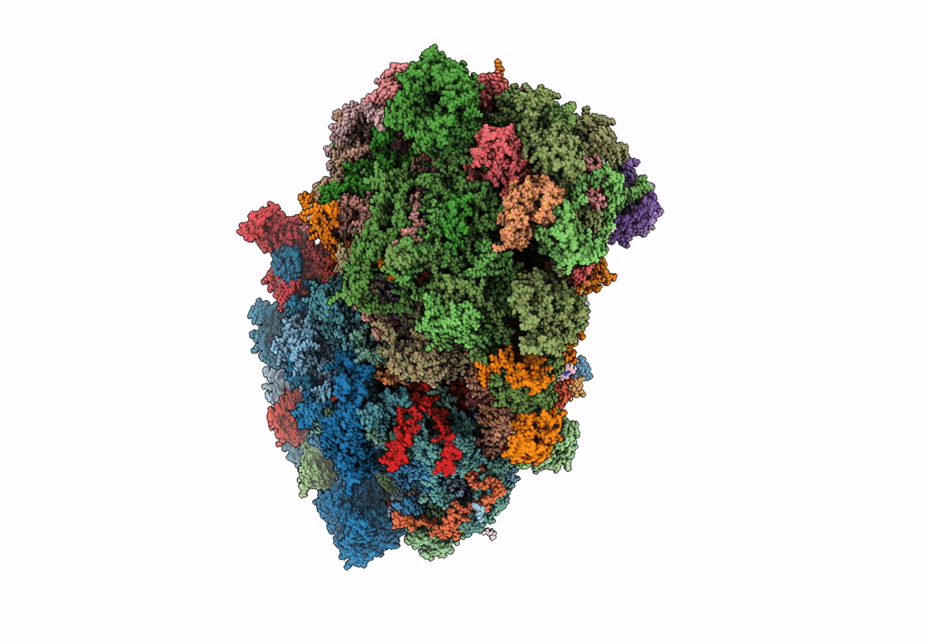8B6H image