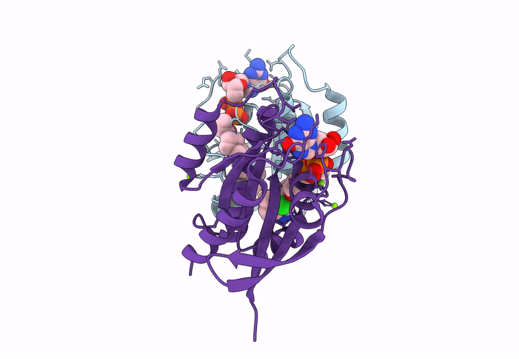 8B6I image