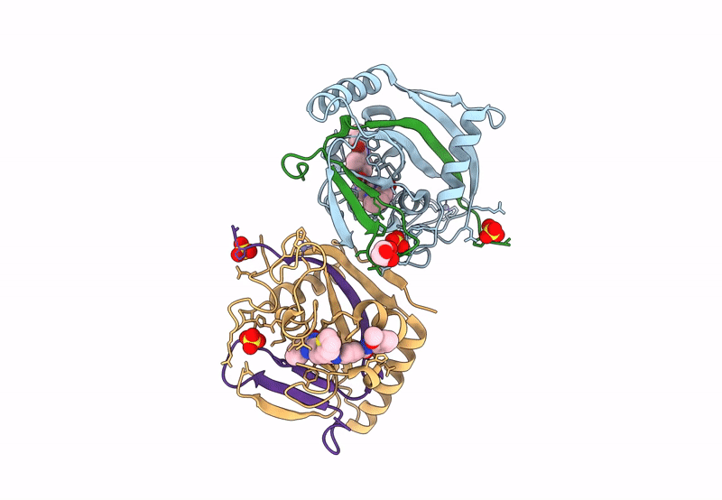 8B6M image