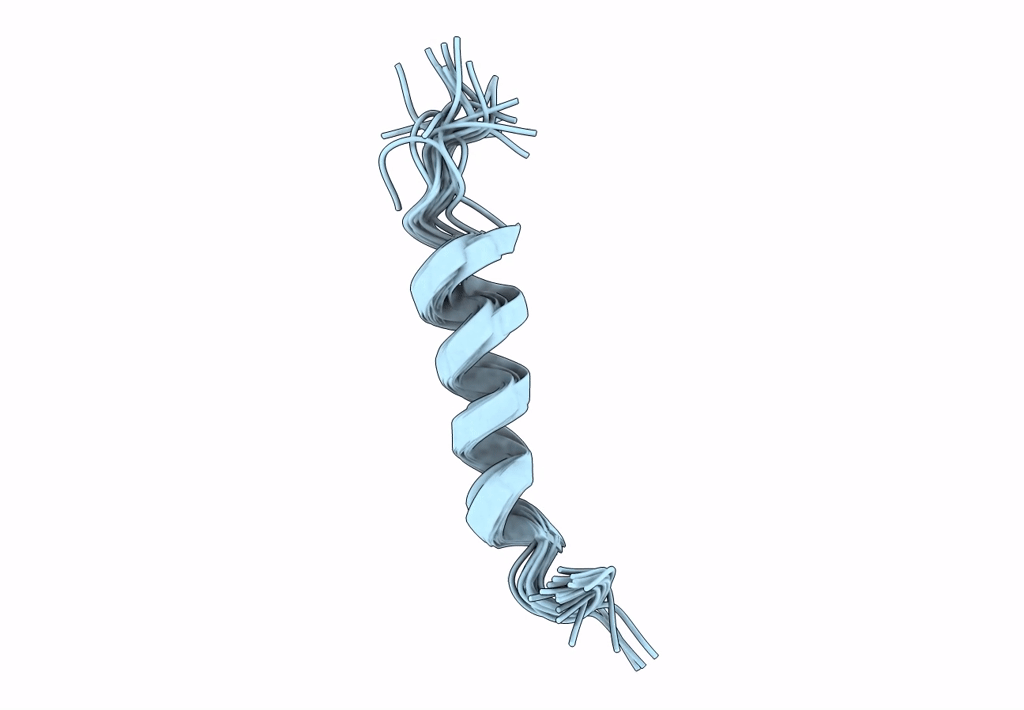 8B6X image