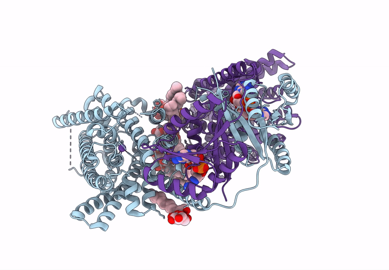8B70 image