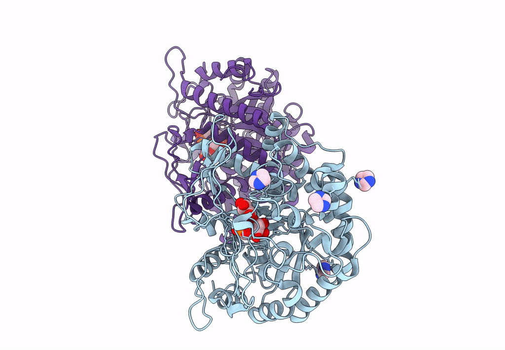 8B81 image