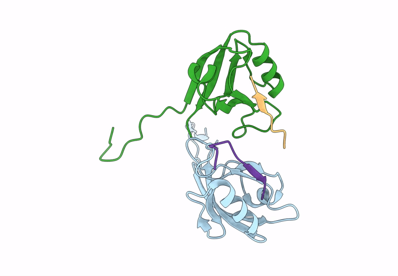 8B82 image