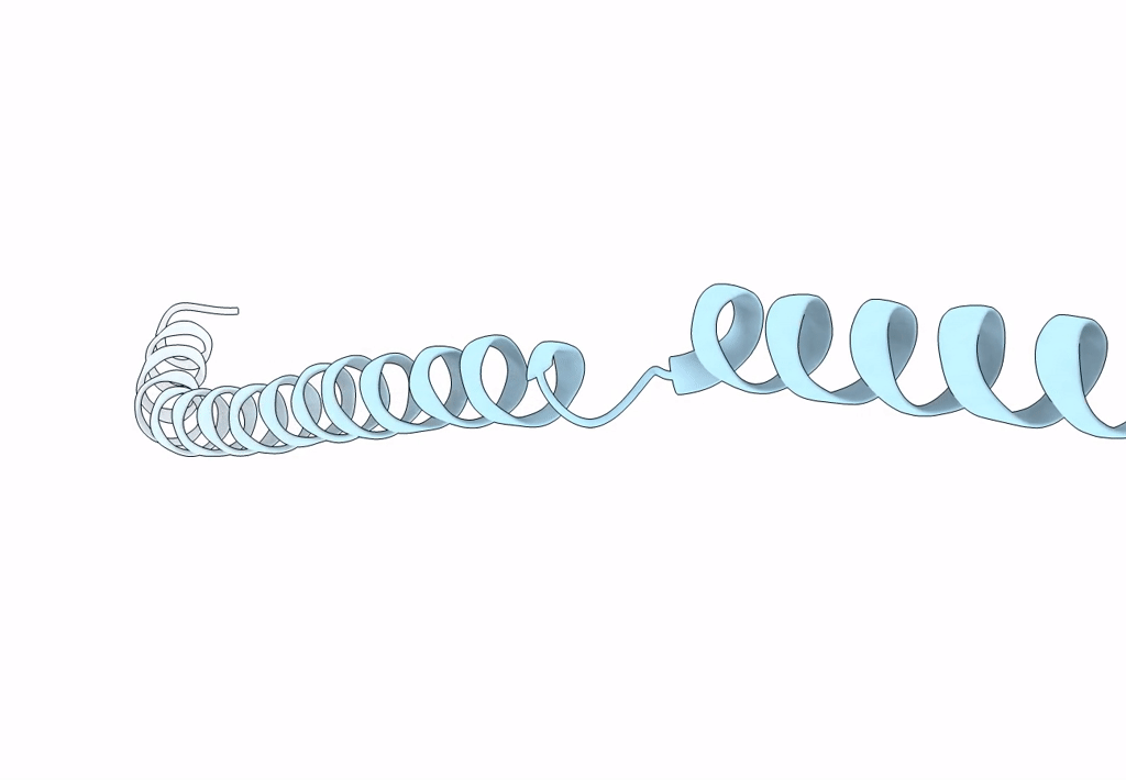 8B8A image
