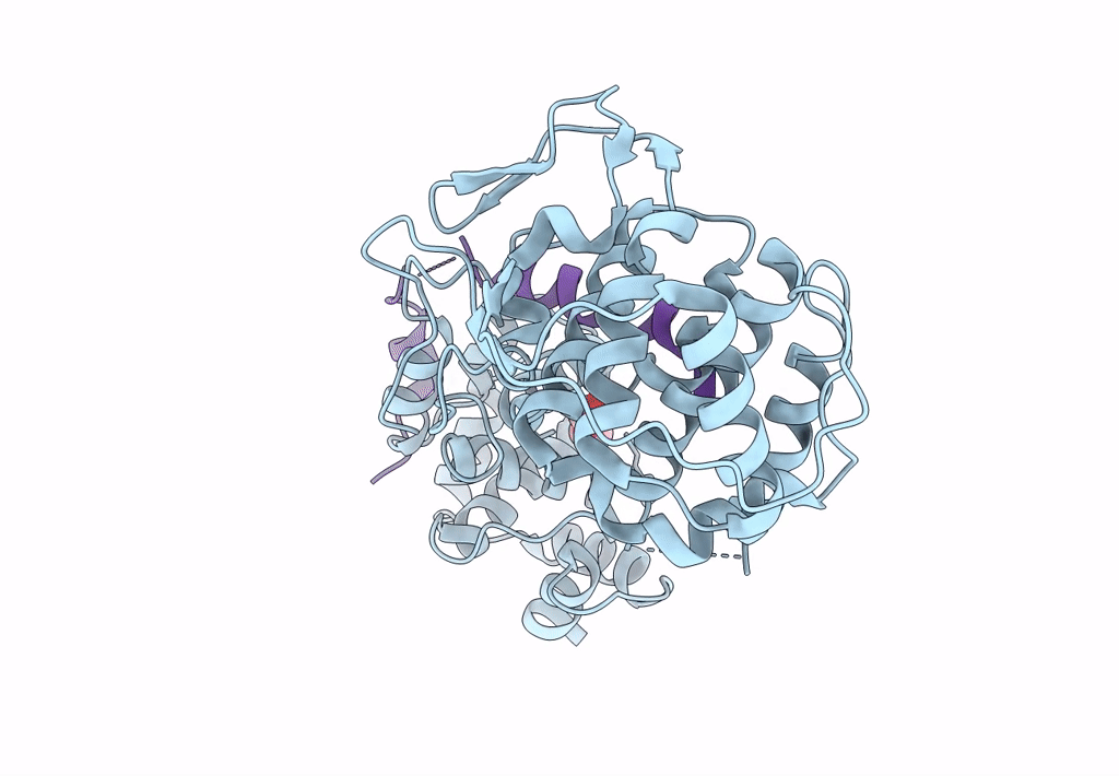 8B8V image