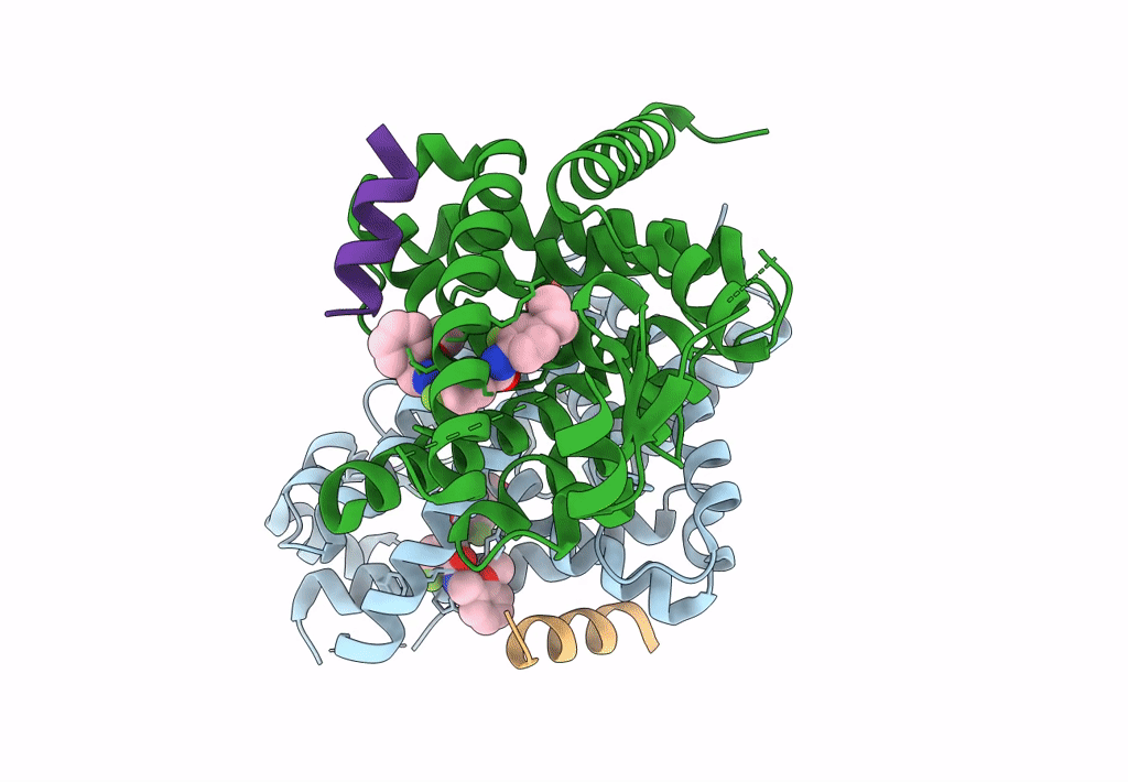 8B92 image