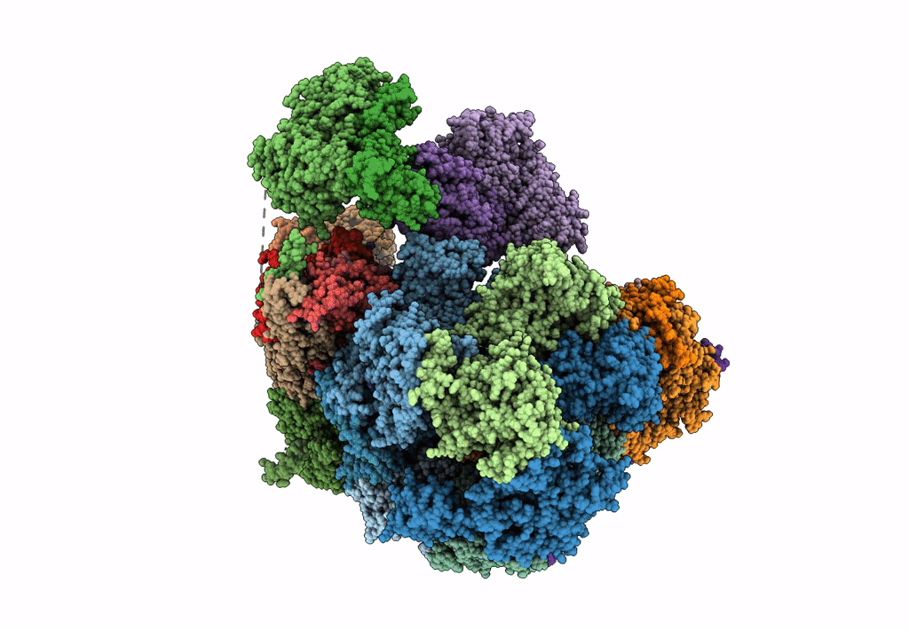 8B9D image