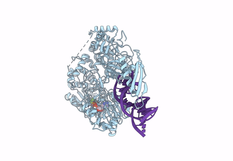 8B9K image