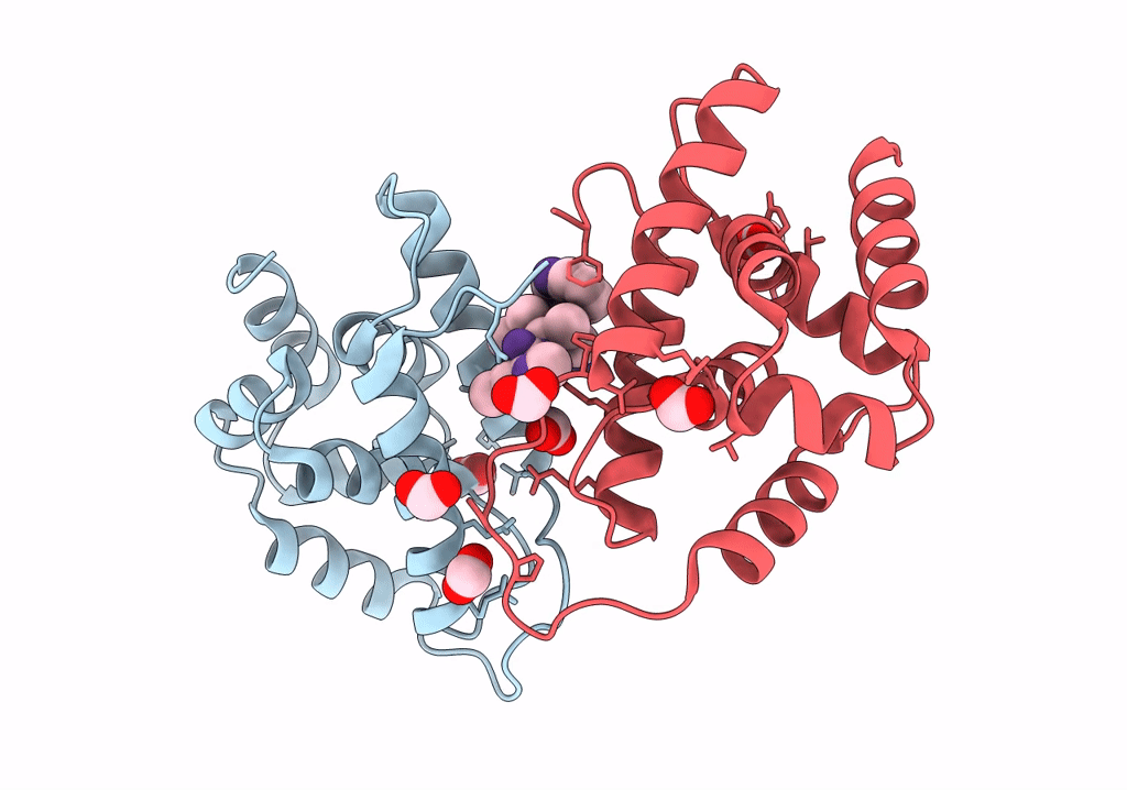 8B9U image