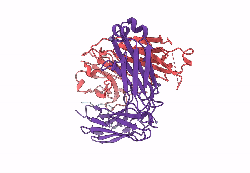 8B9V image