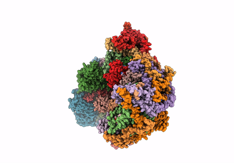8B9Z image
