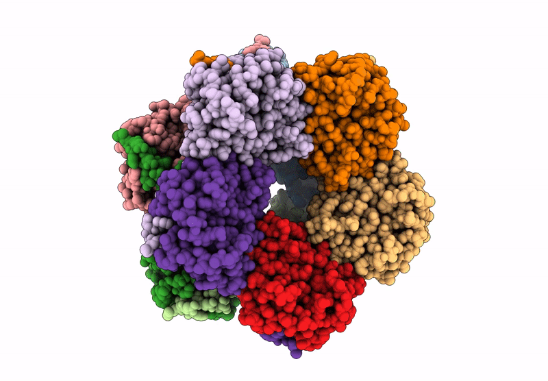 8BC2 image